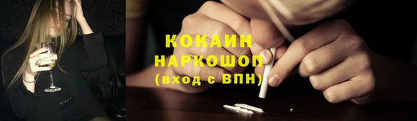 стаф Россошь