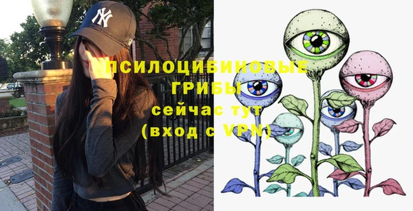 стаф Россошь