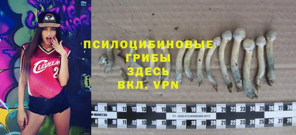 стаф Ростов