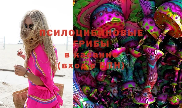 прущая мука Алзамай