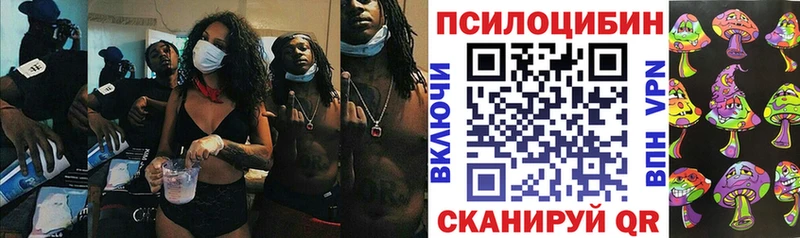 Галлюциногенные грибы мицелий  Ермолино 